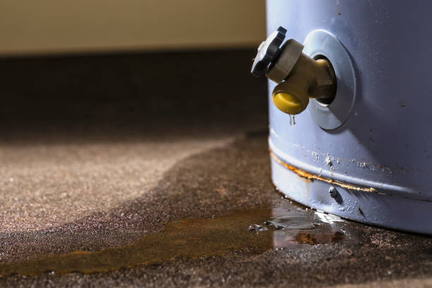 Best Flood damage cleanup  in Boyertown, PA