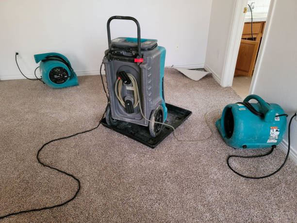 Best Ceiling water damage repair  in Boyertown, PA
