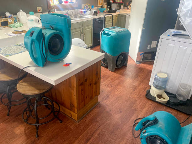 Best 24-hour water damage restoration  in Boyertown, PA