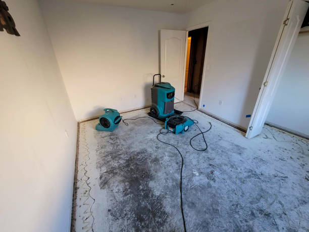Best Flooded house restoration  in Boyertown, PA