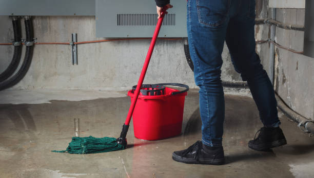 Best Flooded house restoration  in Boyertown, PA