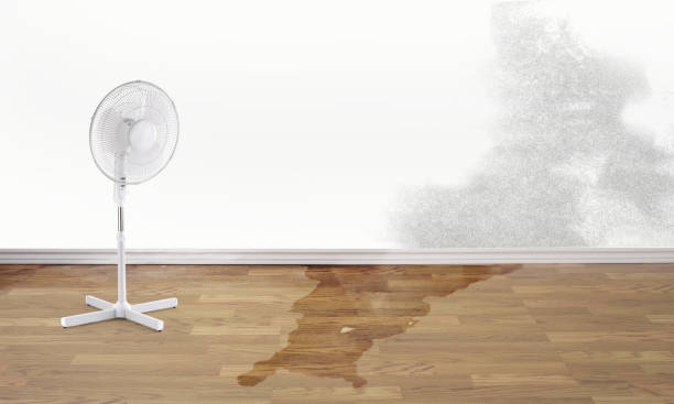 Best Water damage restoration near me  in Boyertown, PA