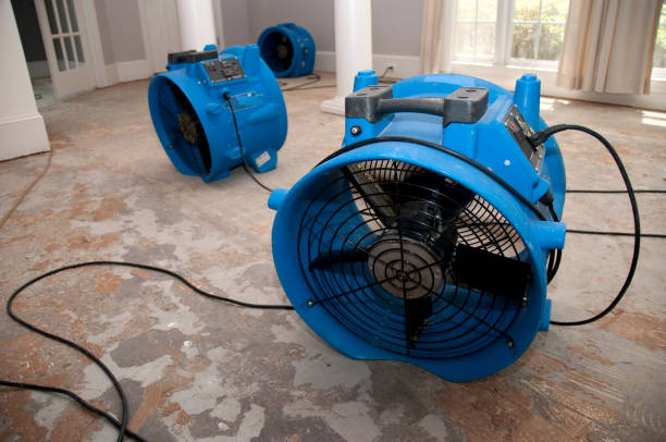 Best Commercial water damage restoration  in Boyertown, PA