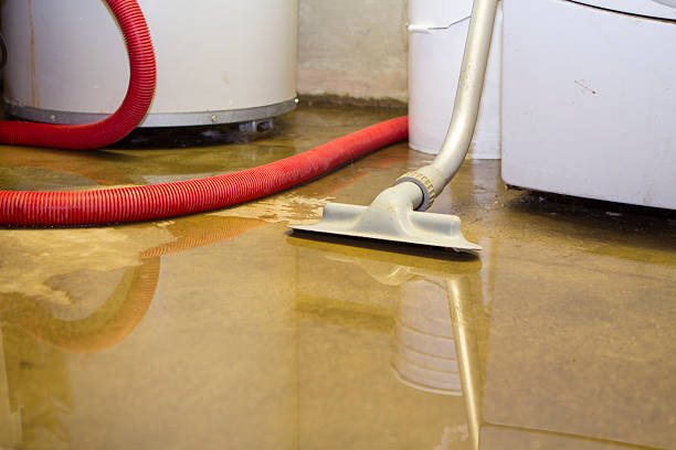 Best Emergency water extraction  in Boyertown, PA