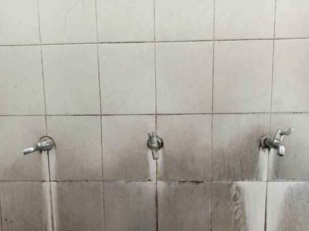 Best Carpet water damage restoration  in Boyertown, PA