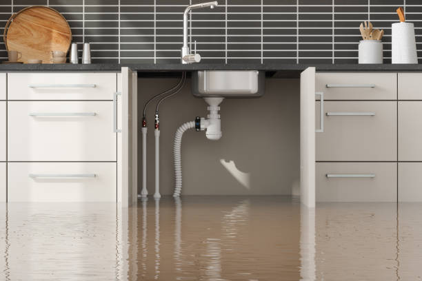 Best Basement water damage restoration  in Boyertown, PA