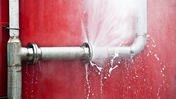 Best Water damage cleanup near me  in Boyertown, PA