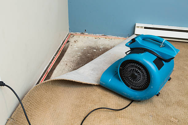 Best Water damage restoration experts  in Boyertown, PA
